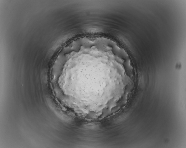 X0000111450447200907201053