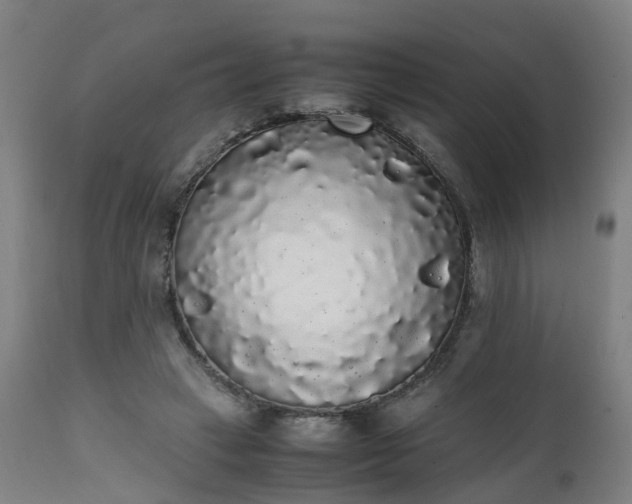 X0000111450449200907201053