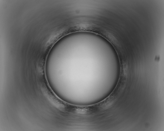 X0000111450450200907201053