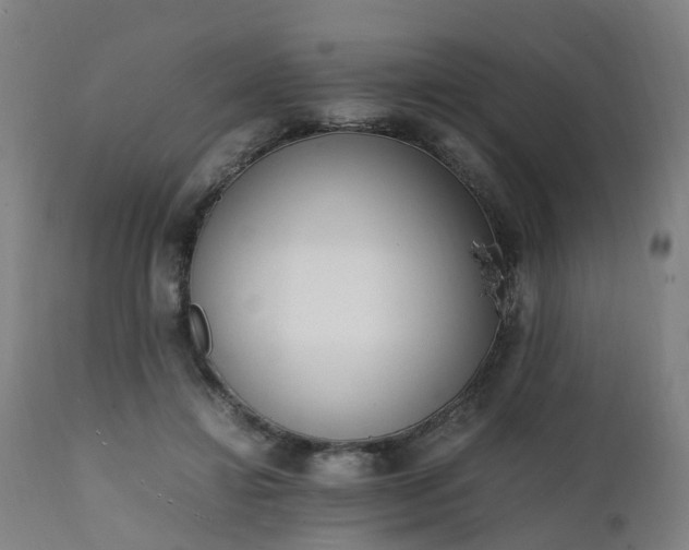 X0000111450452200907201053