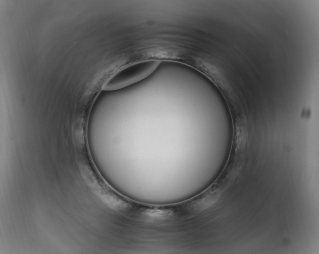 X0000111450453200907201053