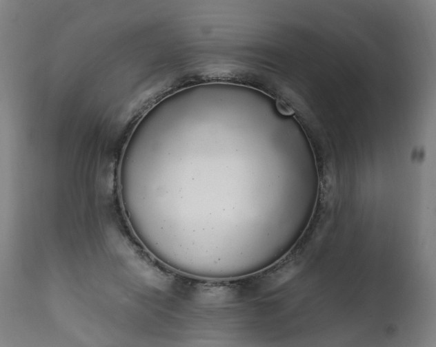 X0000111450454200907201053