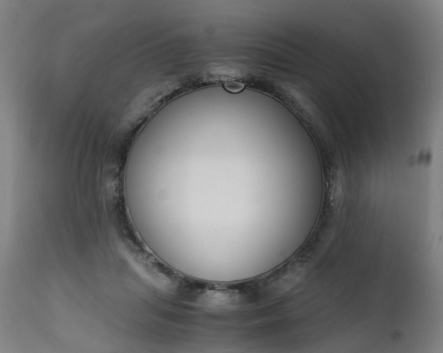 X0000111450455200907201053
