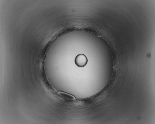 X0000111450456200907201053