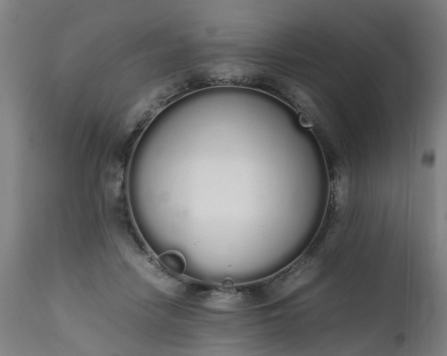 X0000111450458200907201053