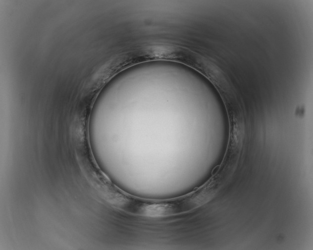 X0000111450461200907201053