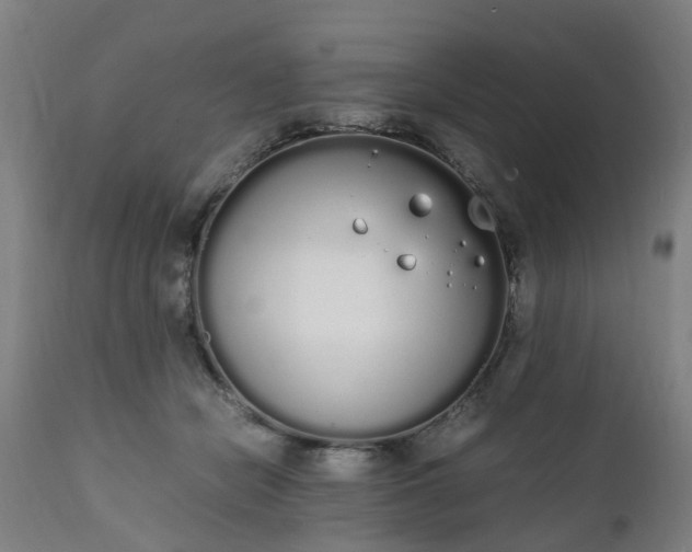 X0000111450462200907201053