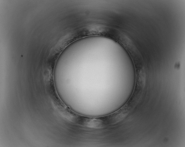 X0000111450463200907201053