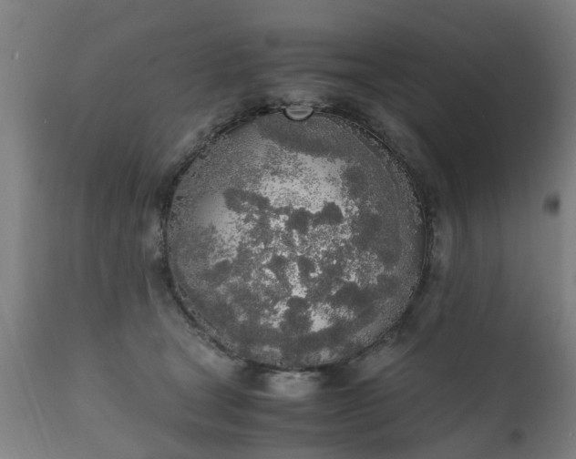 X0000111450465200907201053