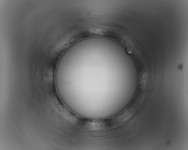 X0000111450466200907201053