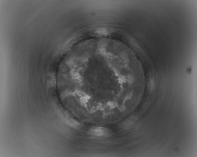 X0000111450467200907201053