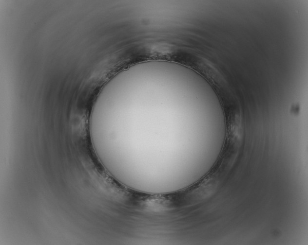 X0000111450468200907201053