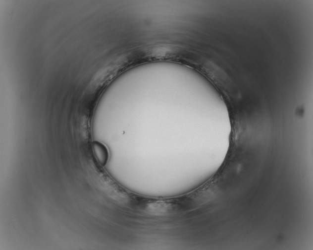 X0000111450470200907201053