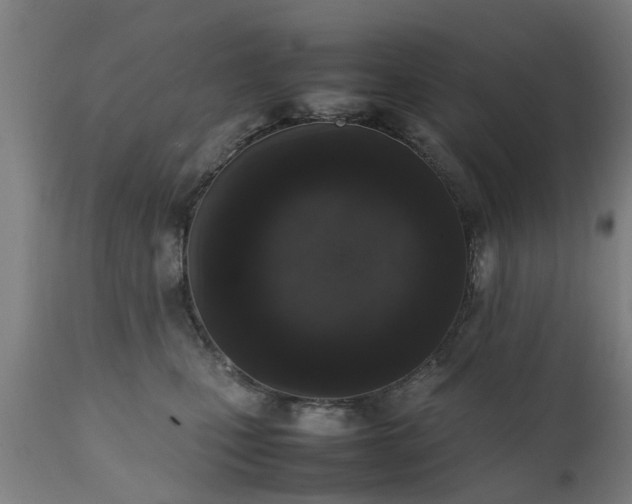 X0000111450471200907201053