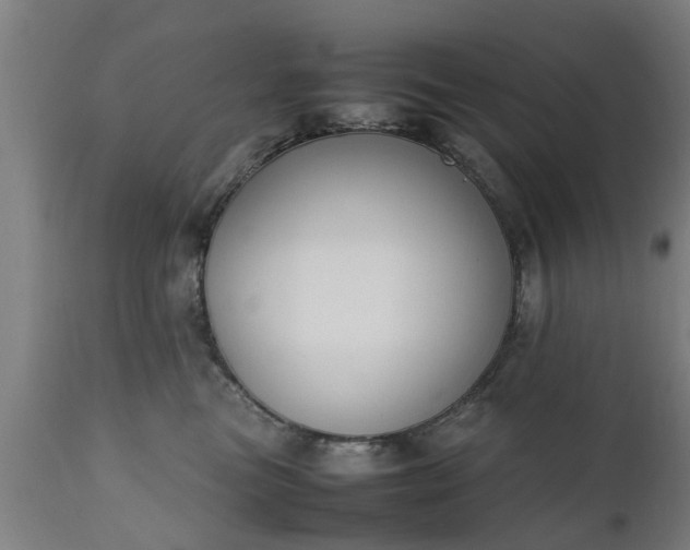 X0000111450473200907201053