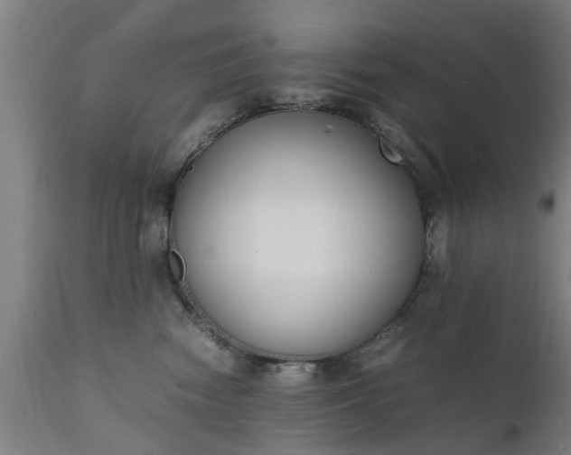 X0000111450474200907201053