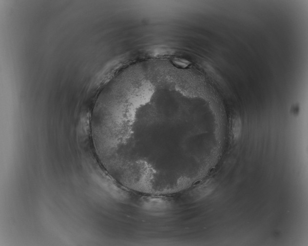 X0000111450475200907201053