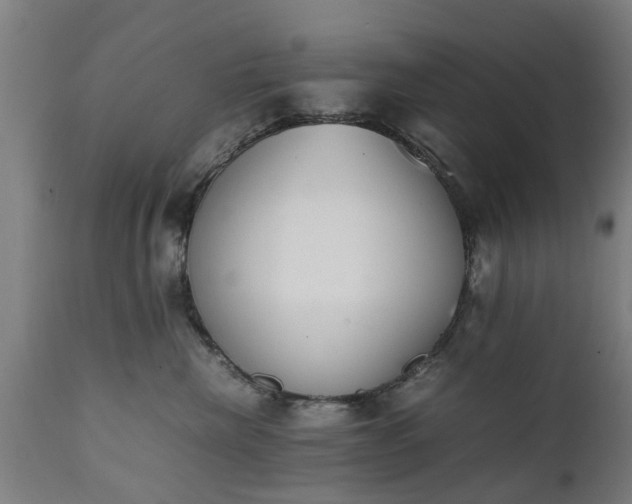 X0000111450476200907201053