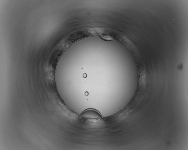 X0000111450477200907201053