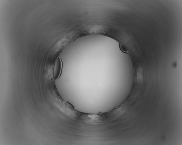 X0000111450478200907201053