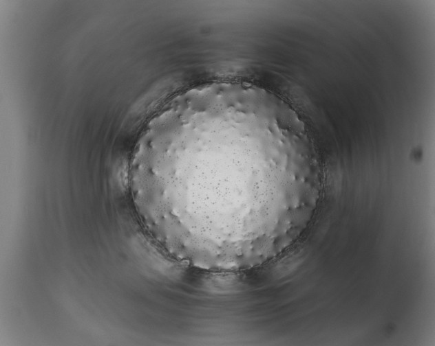 X0000111450479200907201053
