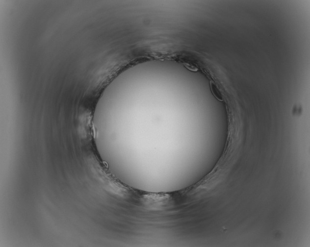 X0000111450480200907201053