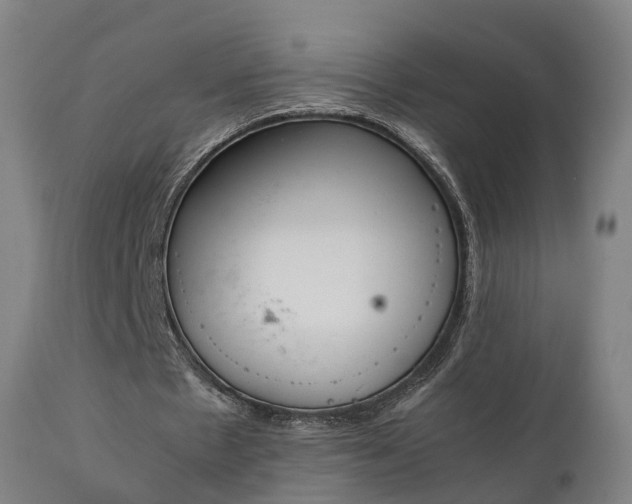 X0000111450481200907201053