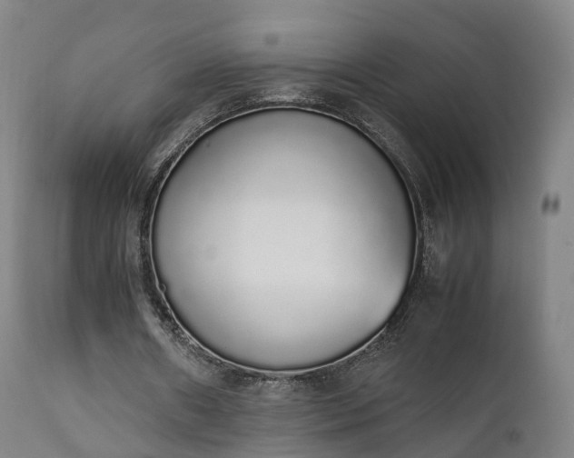 X0000111450482200907201053