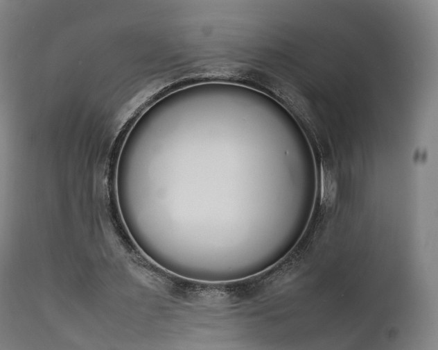 X0000111450483200907201053