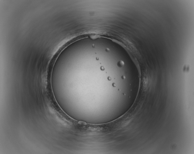 X0000111450484200907201053
