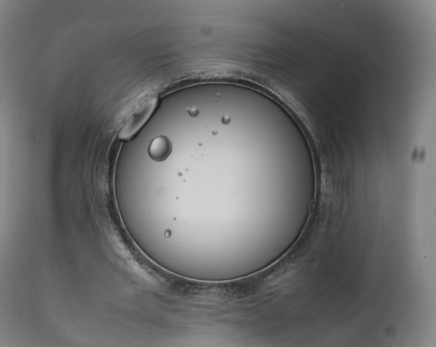X0000111450485200907201053