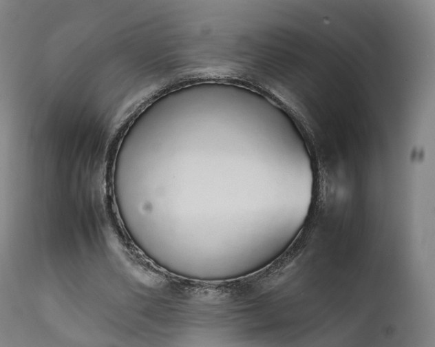 X0000111450486200907201053