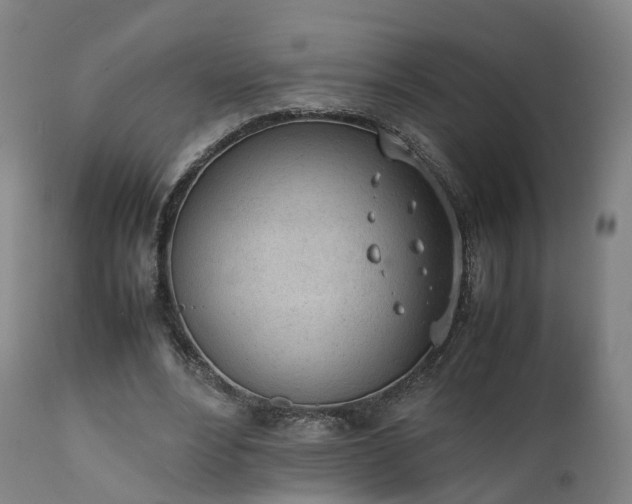 X0000111450488200907201053