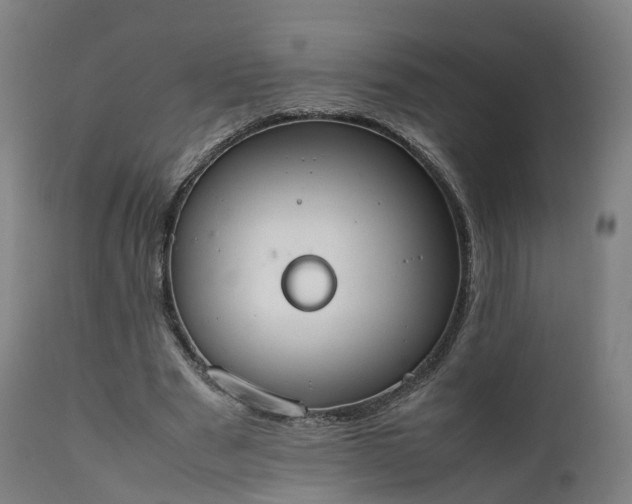 X0000111450489200907201053