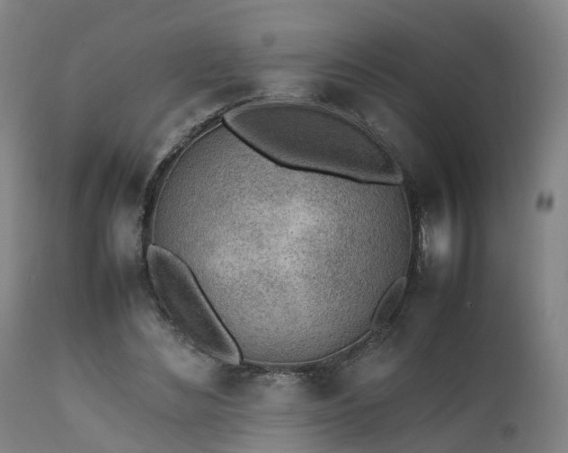 X0000111450492200907201053