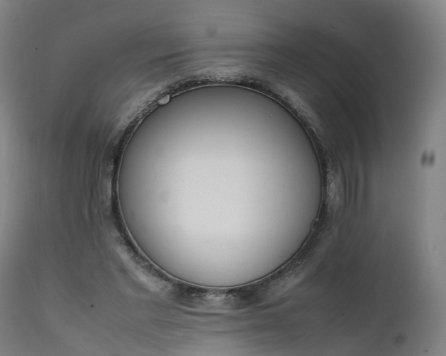X0000111450493200907201053