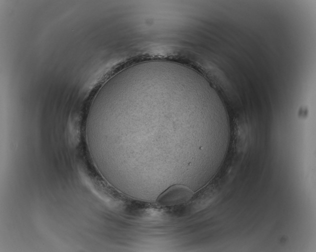 X0000111450496200907201053