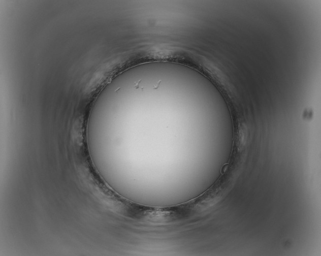 X0000111450497200907201053