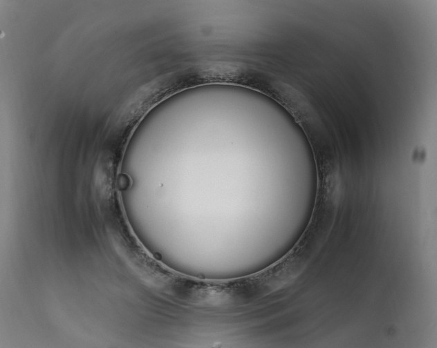 X0000111450498200907201053