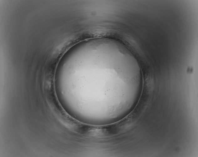X0000111450499200907201053