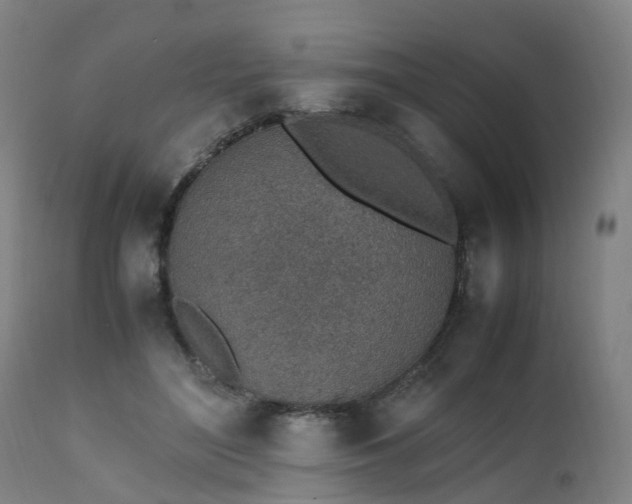 X0000111450500200907201053