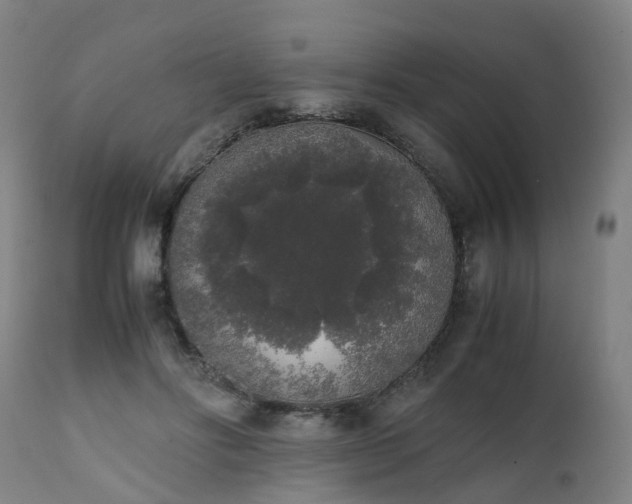 X0000111450502200907201053
