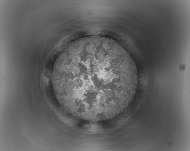 X0000111450503200907201053
