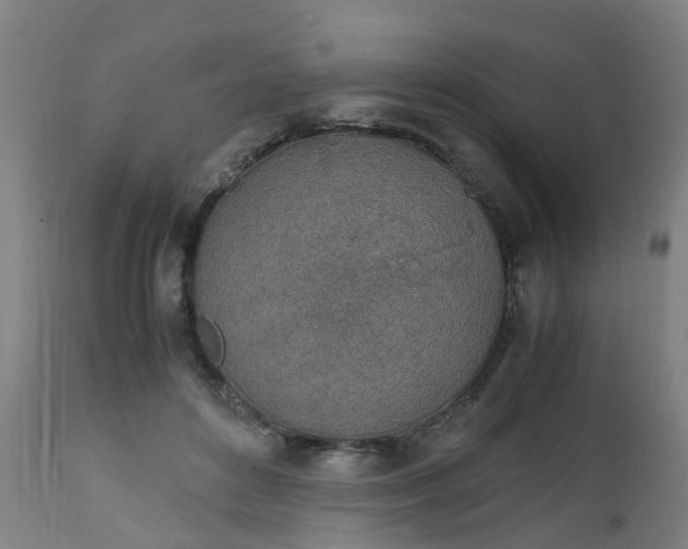 X0000111450504200907201052