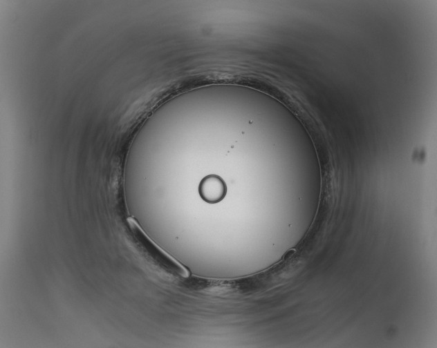 X0000111450505200907201052