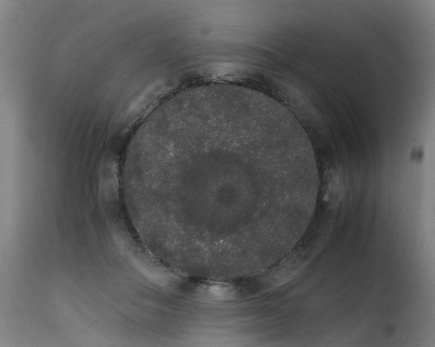 X0000111450506200907201052
