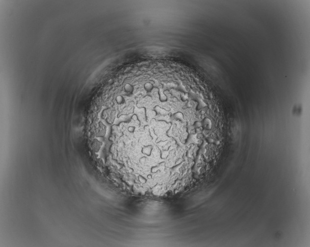 X0000111450507200907201052