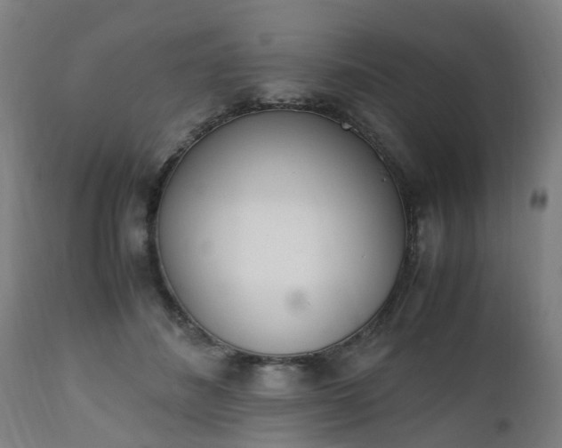 X0000111450508200907201052
