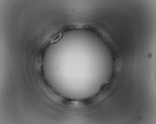 X0000111450509200907201052