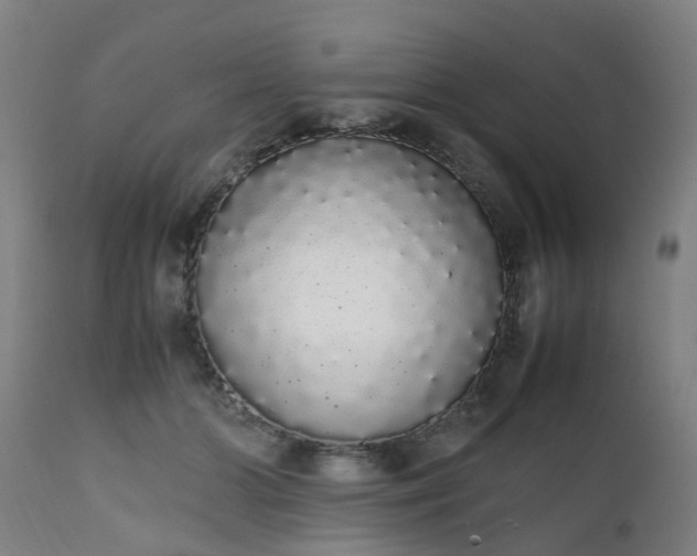 X0000111450510200907201052